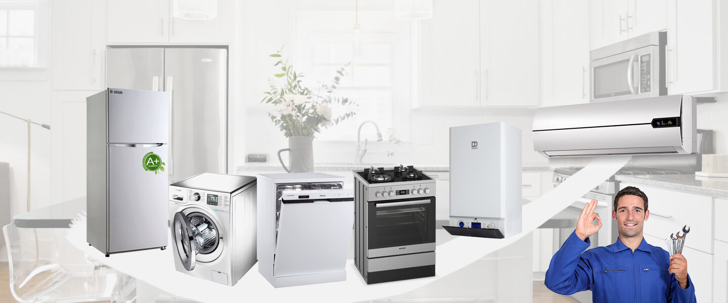 Kars Electrolux Servisi